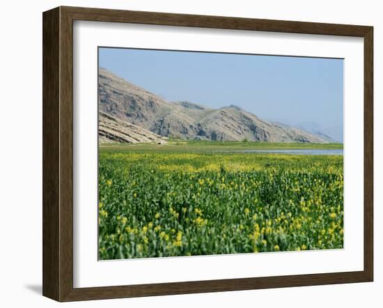 Lake Paresham, Iran, Middle East-Harding Robert-Framed Photographic Print