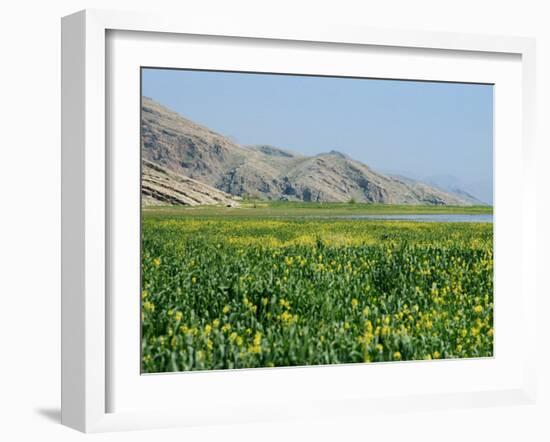 Lake Paresham, Iran, Middle East-Harding Robert-Framed Photographic Print