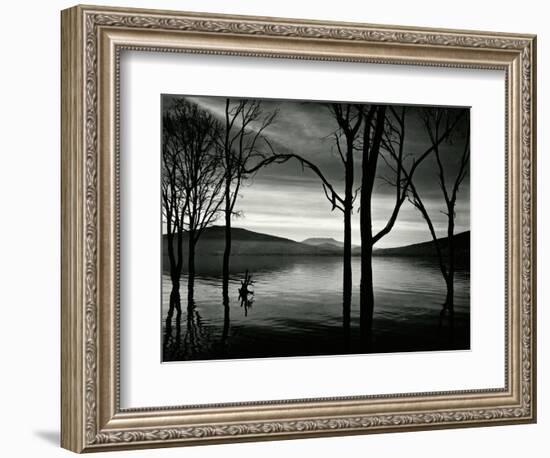 Lake Patzcuaro, Mexico, 1976-Brett Weston-Framed Photographic Print