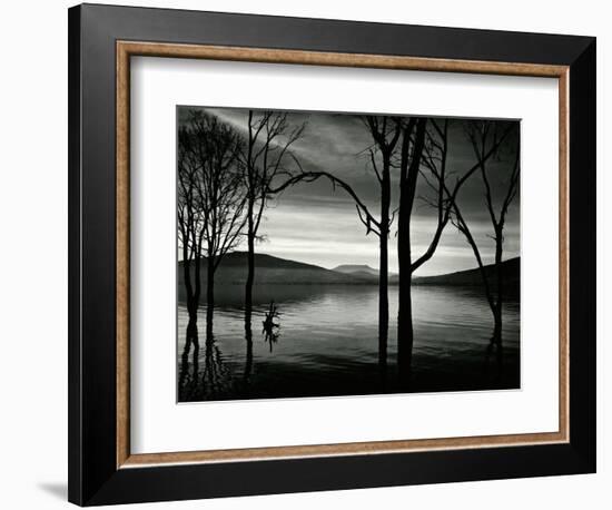 Lake Patzcuaro, Mexico, 1976-Brett Weston-Framed Photographic Print