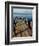 Lake Pier with San Pedro Volcano in Distance, Lake Atitlan, Western Highlands, Guatemala-Cindy Miller Hopkins-Framed Photographic Print