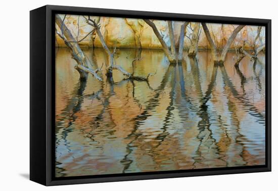 Lake Powell Reflections II-Kathy Mahan-Framed Premier Image Canvas