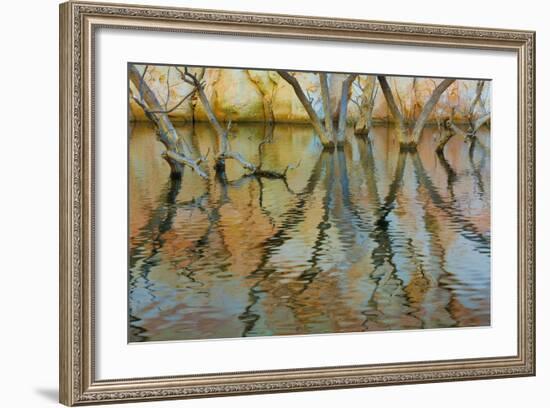 Lake Powell Reflections II-Kathy Mahan-Framed Photographic Print