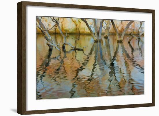 Lake Powell Reflections II-Kathy Mahan-Framed Photographic Print