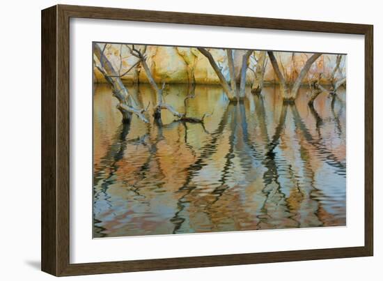 Lake Powell Reflections II-Kathy Mahan-Framed Photographic Print