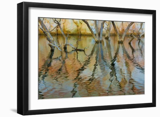 Lake Powell Reflections II-Kathy Mahan-Framed Photographic Print