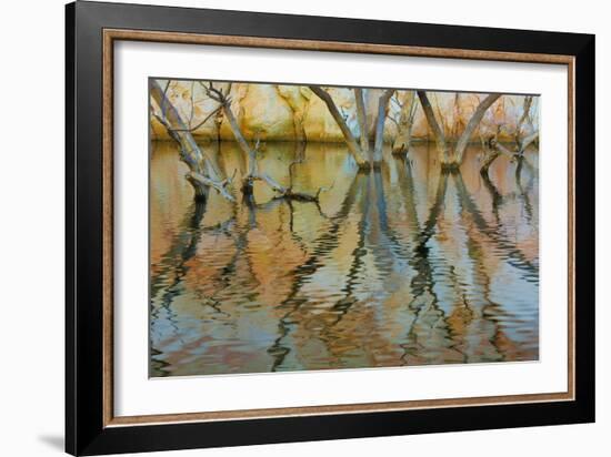 Lake Powell Reflections II-Kathy Mahan-Framed Photographic Print