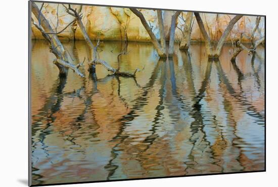 Lake Powell Reflections II-Kathy Mahan-Mounted Photographic Print