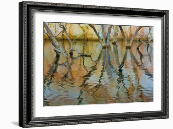 Lake Powell Reflections II-Kathy Mahan-Framed Photographic Print