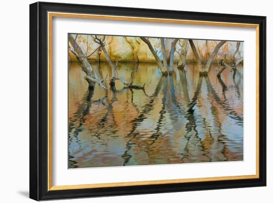 Lake Powell Reflections II-Kathy Mahan-Framed Photographic Print