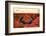 Lake Powell - Utah - United States-Philippe Hugonnard-Framed Photographic Print