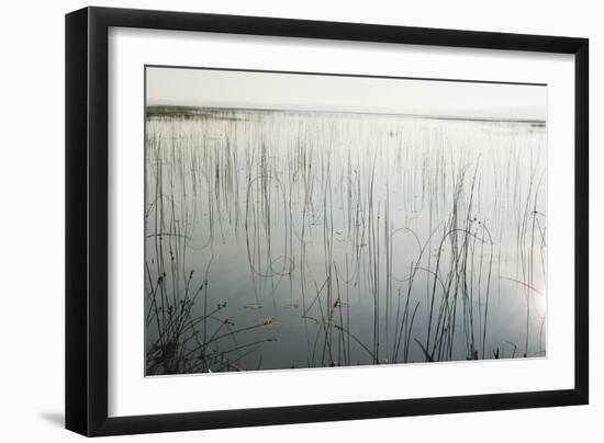 Lake Reeds - Scattered-Mike Toy-Framed Giclee Print