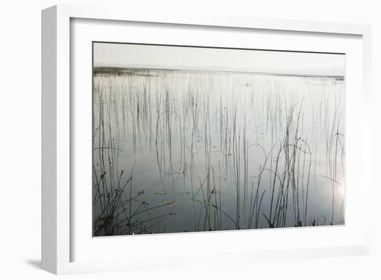 Lake Reeds - Scattered-Mike Toy-Framed Giclee Print