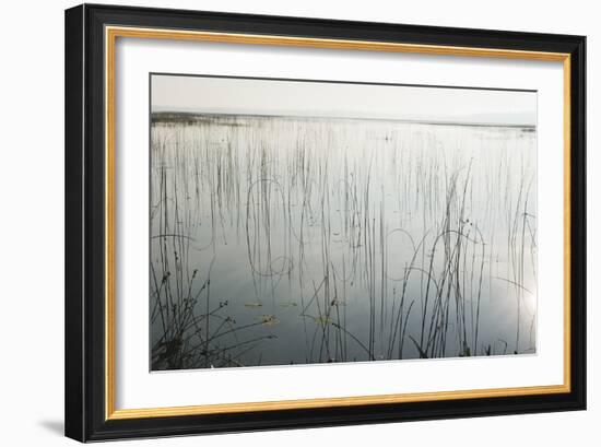 Lake Reeds - Scattered-Mike Toy-Framed Giclee Print