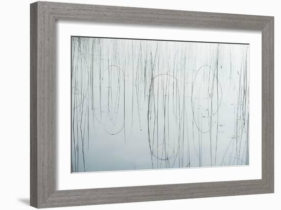 Lake Reeds - Strewn-Mike Toy-Framed Giclee Print