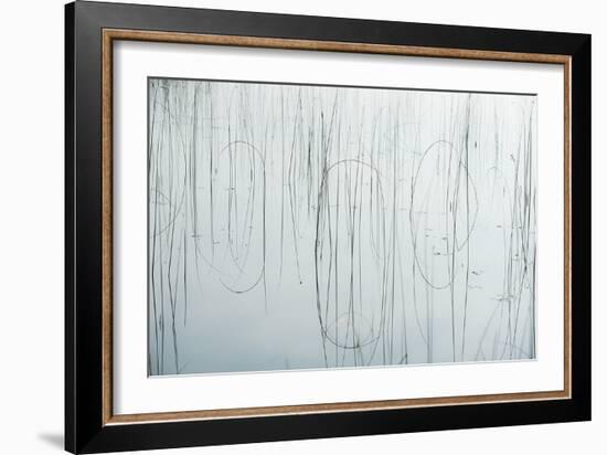 Lake Reeds - Strewn-Mike Toy-Framed Giclee Print