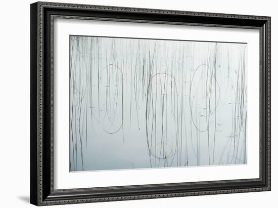 Lake Reeds - Strewn-Mike Toy-Framed Giclee Print