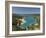 Lake Sainte Croix, Alpes-De-Haute-Provence, Provence, France, Europe-Sergio Pitamitz-Framed Photographic Print