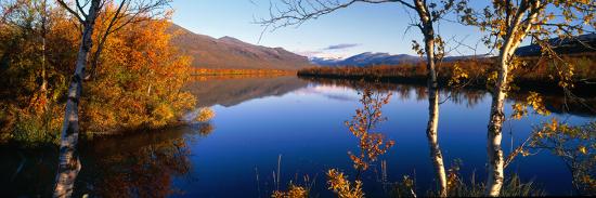 Premium Photographic Print, , large