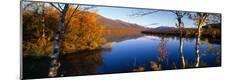 Premium Photographic Print