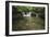 Lake Sebu-Michael de Guzman-Framed Photographic Print