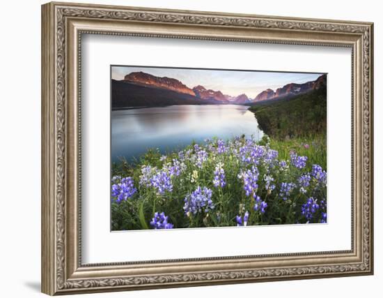 Lake Sherburne-Jason Savage-Framed Art Print