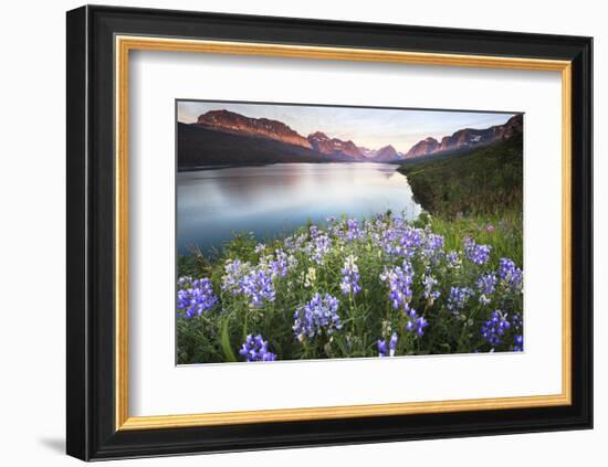 Lake Sherburne-Jason Savage-Framed Art Print