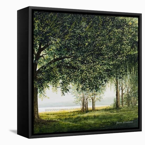 Lake Shore Drive II-Bruce Nawrocke-Framed Premier Image Canvas