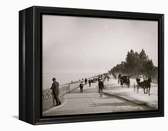 Lake Shore Drive, Lincoln Park, Chicago, Ill.-null-Framed Stretched Canvas