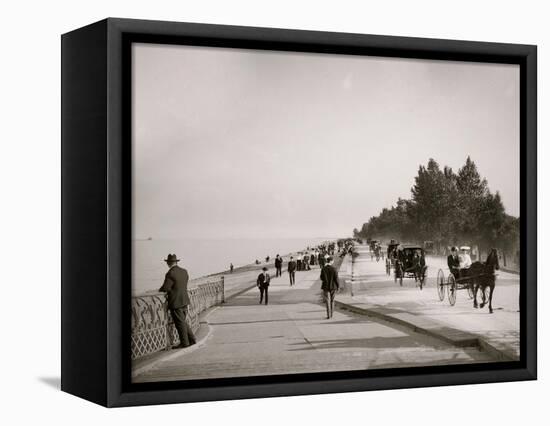 Lake Shore Drive, Lincoln Park, Chicago, Ill.-null-Framed Stretched Canvas