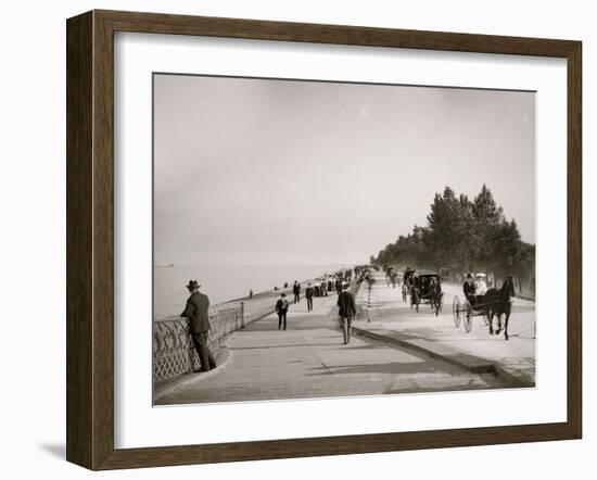 Lake Shore Drive, Lincoln Park, Chicago, Ill.-null-Framed Photo