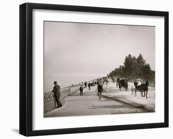 Lake Shore Drive, Lincoln Park, Chicago, Ill.-null-Framed Photo