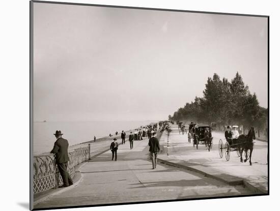Lake Shore Drive, Lincoln Park, Chicago, Ill.-null-Mounted Photo