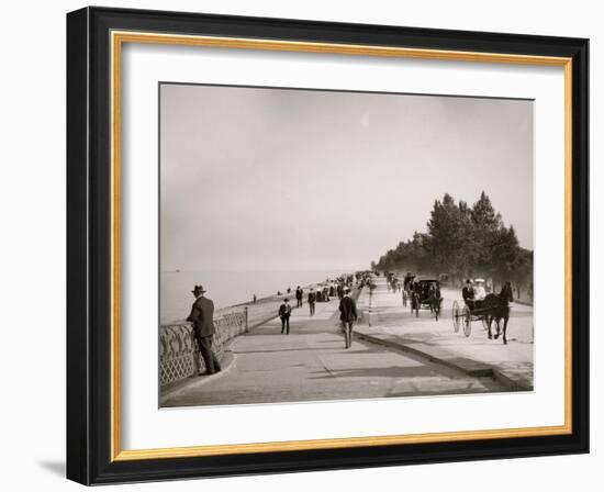 Lake Shore Drive, Lincoln Park, Chicago, Ill.-null-Framed Photo