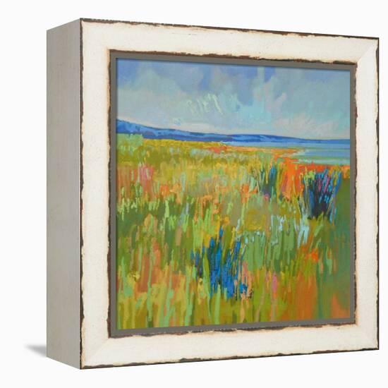 Lake Shore II-Jane Schmidt-Framed Stretched Canvas