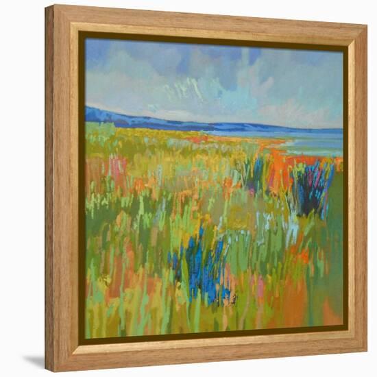 Lake Shore II-Jane Schmidt-Framed Stretched Canvas