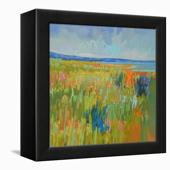 Lake Shore II-Jane Schmidt-Framed Stretched Canvas