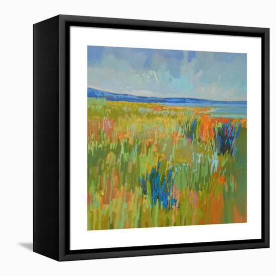 Lake Shore II-Jane Schmidt-Framed Stretched Canvas
