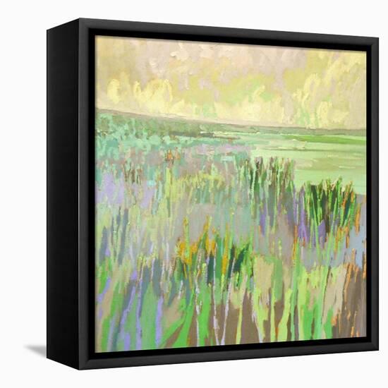 Lake Shore III-Jane Schmidt-Framed Stretched Canvas