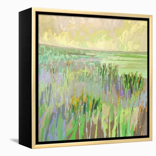 Lake Shore III-Jane Schmidt-Framed Stretched Canvas