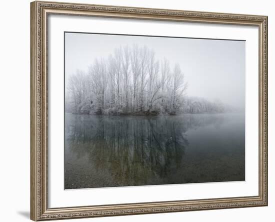 Lake, Shore, Wood, Water Surface, Reflexion, Hoarfrost, Winter-Roland T.-Framed Photographic Print