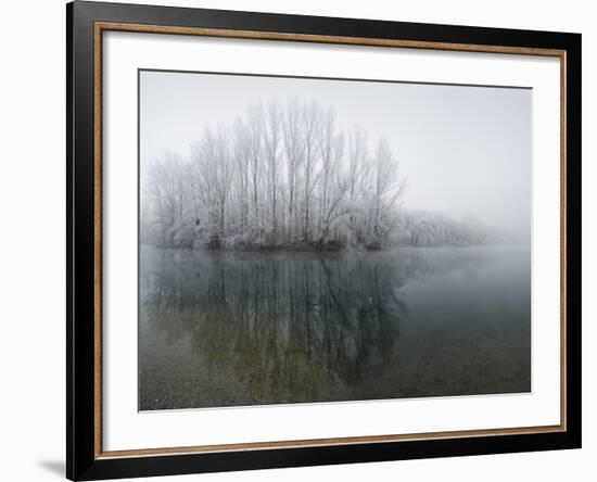 Lake, Shore, Wood, Water Surface, Reflexion, Hoarfrost, Winter-Roland T.-Framed Photographic Print