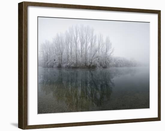 Lake, Shore, Wood, Water Surface, Reflexion, Hoarfrost, Winter-Roland T.-Framed Photographic Print