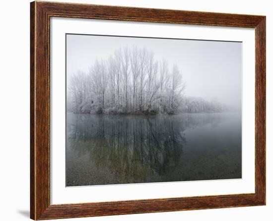 Lake, Shore, Wood, Water Surface, Reflexion, Hoarfrost, Winter-Roland T.-Framed Photographic Print