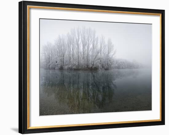 Lake, Shore, Wood, Water Surface, Reflexion, Hoarfrost, Winter-Roland T.-Framed Photographic Print