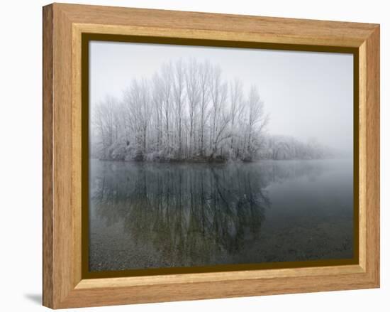 Lake, Shore, Wood, Water Surface, Reflexion, Hoarfrost, Winter-Roland T.-Framed Premier Image Canvas