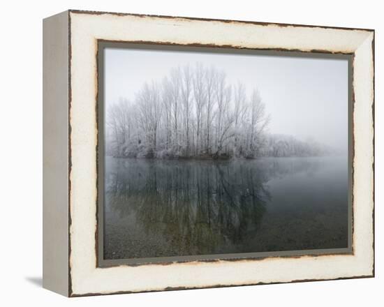 Lake, Shore, Wood, Water Surface, Reflexion, Hoarfrost, Winter-Roland T.-Framed Premier Image Canvas