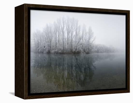 Lake, Shore, Wood, Water Surface, Reflexion, Hoarfrost, Winter-Roland T.-Framed Premier Image Canvas