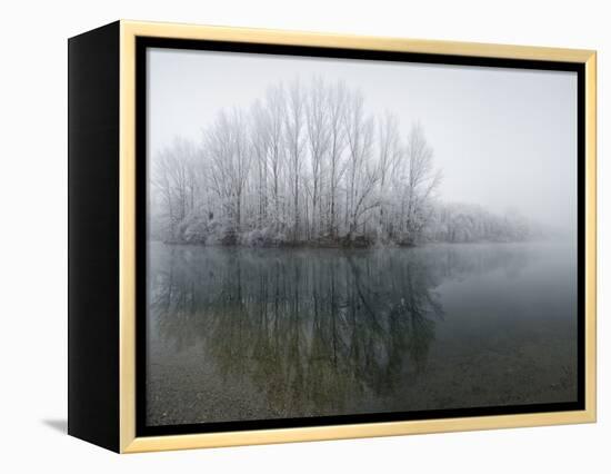 Lake, Shore, Wood, Water Surface, Reflexion, Hoarfrost, Winter-Roland T.-Framed Premier Image Canvas