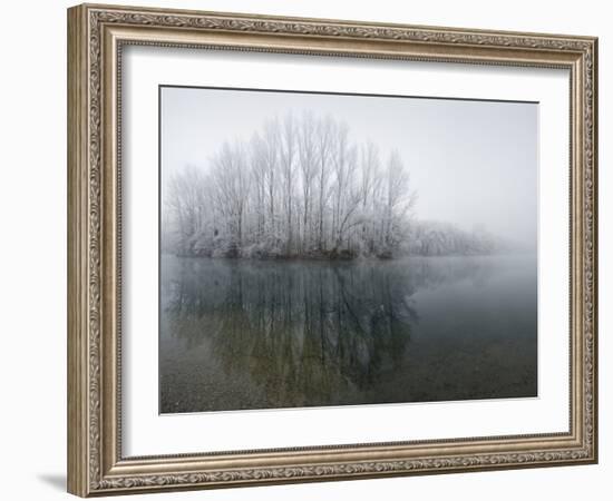 Lake, Shore, Wood, Water Surface, Reflexion, Hoarfrost, Winter-Roland T.-Framed Photographic Print